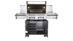 Napoleon Prestige PRO500RSIBNSS-3-GB Natural Gas BBQ - Free Rotisserie And Cover -Barbeque Series Shop PRO500 1 RSIB Straight Open Lights On napoleon 1000x563 1
