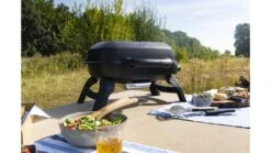 Napoleon TravelQ 240 Portable Gas BBQ -Barbeque Series Shop TQ240BK Lifestyle2 1000x563 1