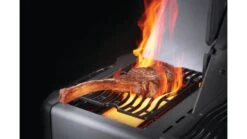 Napoleon Prestige P665RSIBPSS-3 Gas BBQ - Free Rotisserie And Cover -Barbeque Series Shop prestige sizzle burner 1000x563 1