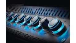 Napoleon Prestige BIPRO500RBPSS-3-GB Built In Gas BBQ - Free Rotisserie And Cover -Barbeque Series Shop pro 665 lights blue 1000x563 2